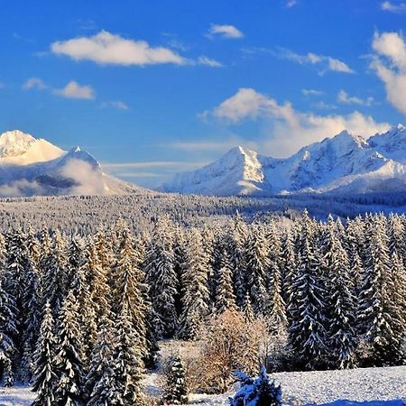 Mini-Apartment Z Pieknym Widokiem Na Tatry Murzasichle Zewnętrze zdjęcie